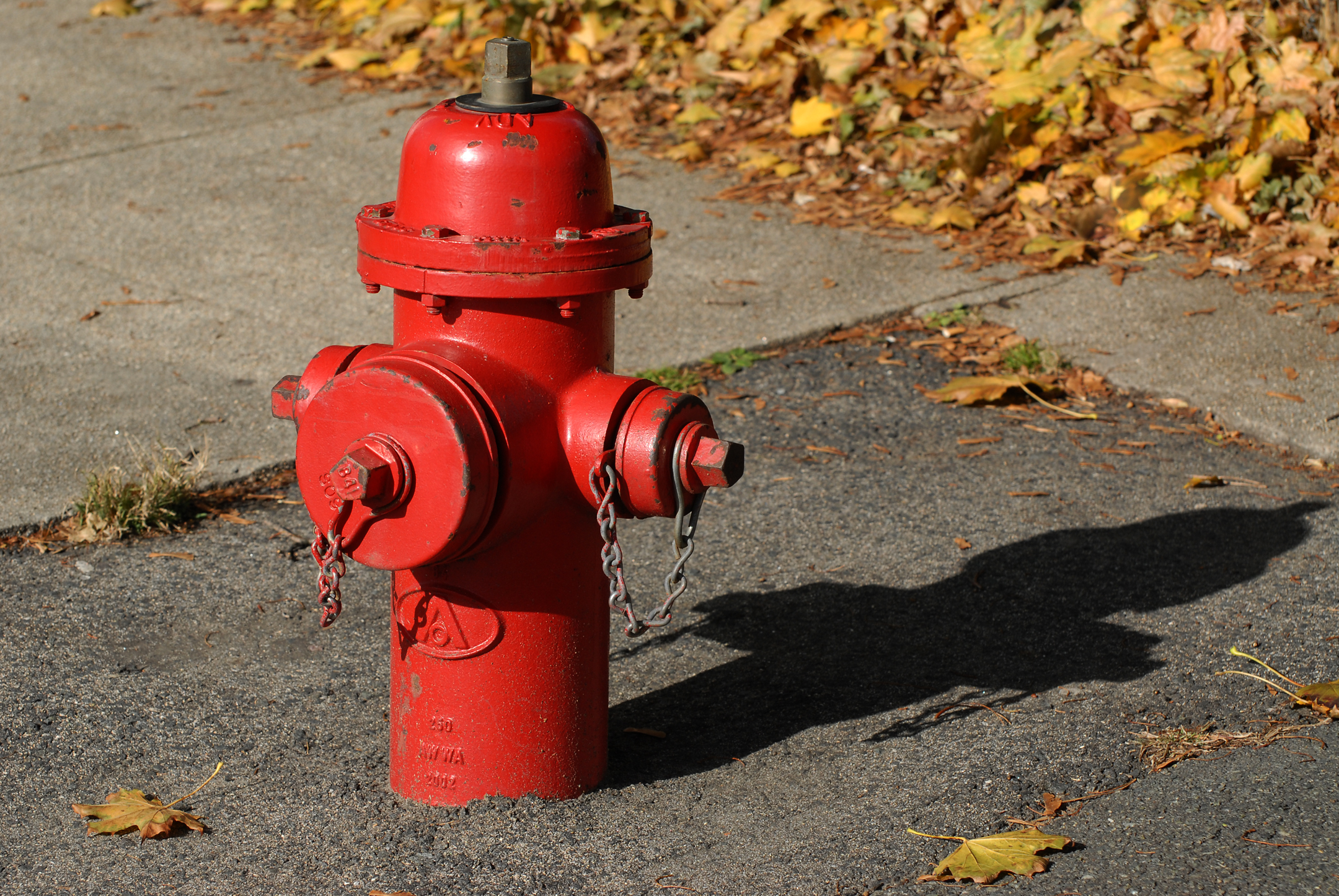 there is a red fire hydrant on the sidewalk