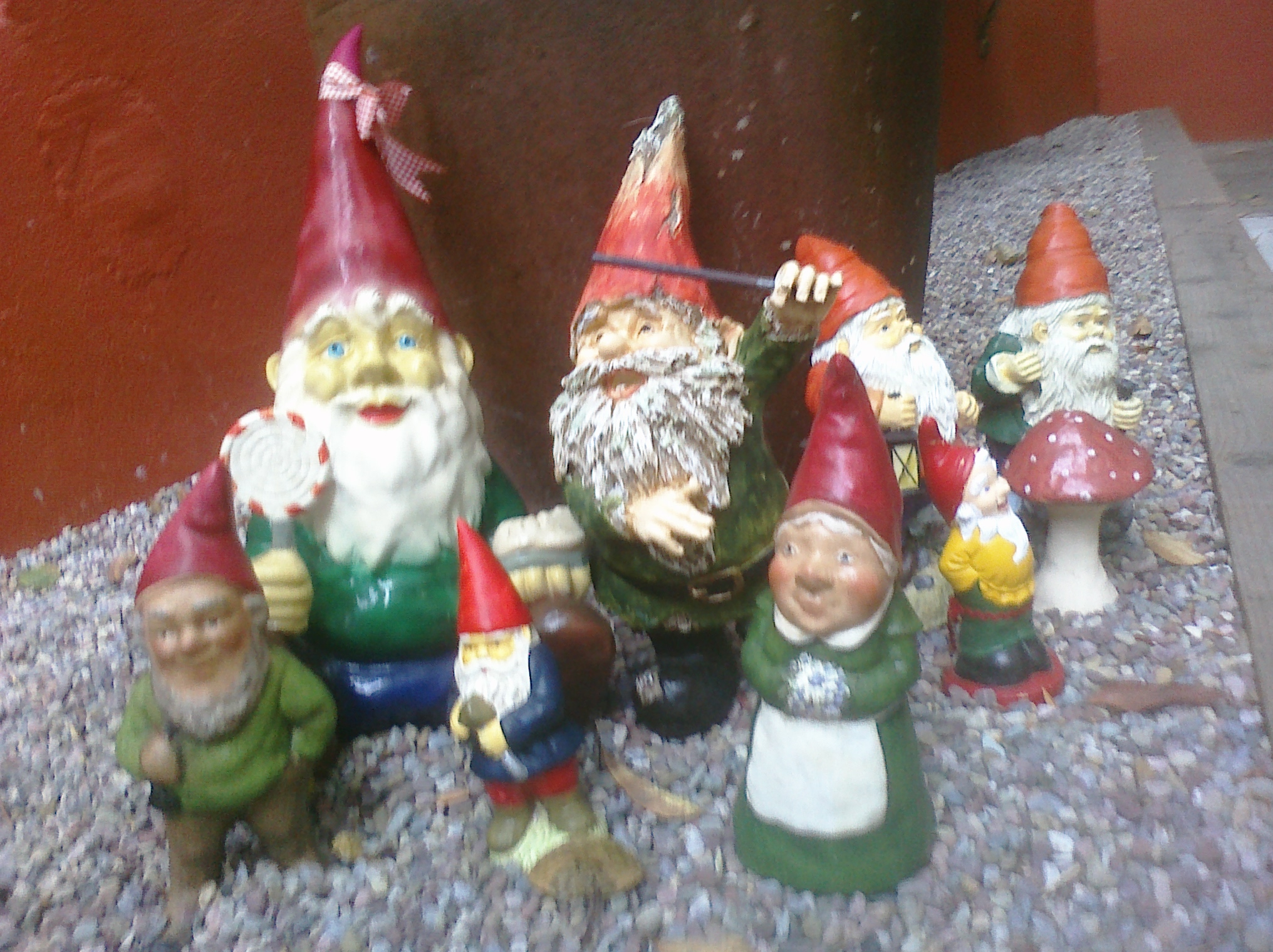 various gnomes on a rock near a wall