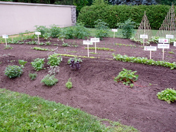 a garden with various types of plants and signs