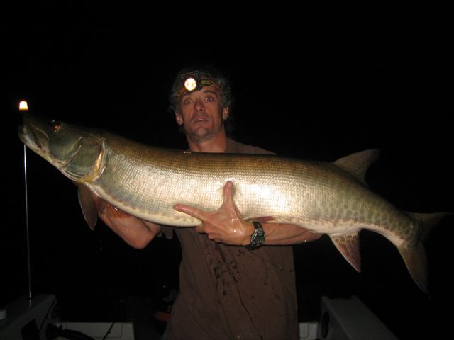 a man holding a large fish while wearing a brown shirt