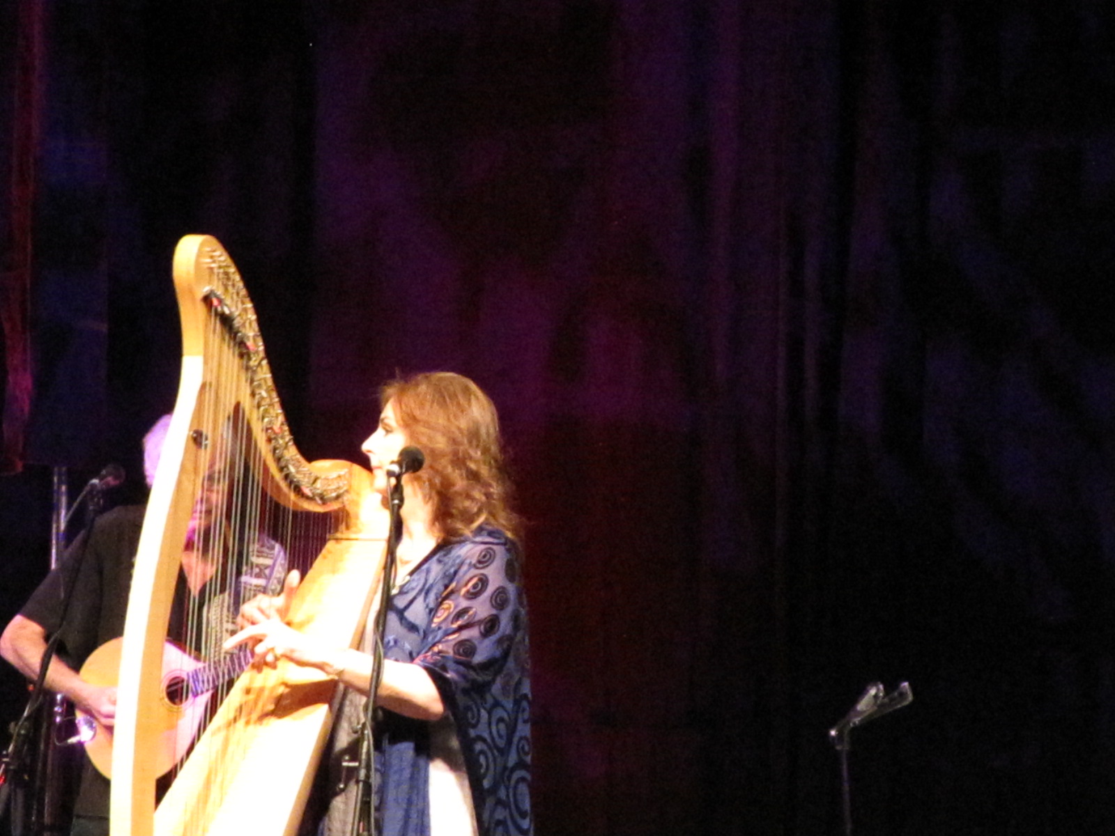 a woman wearing a blue and white top while playing a harp
