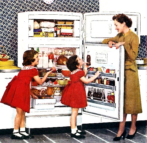 a woman teaching two children how to find soing in the fridge