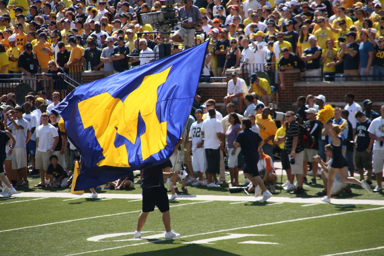 a person with a flag is standing in the middle of a football field