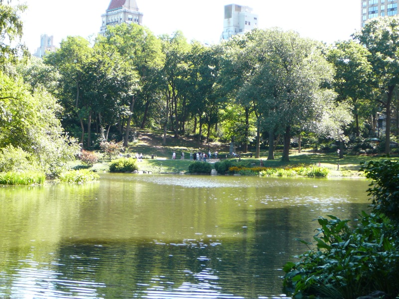 a beautiful park with some trees in it