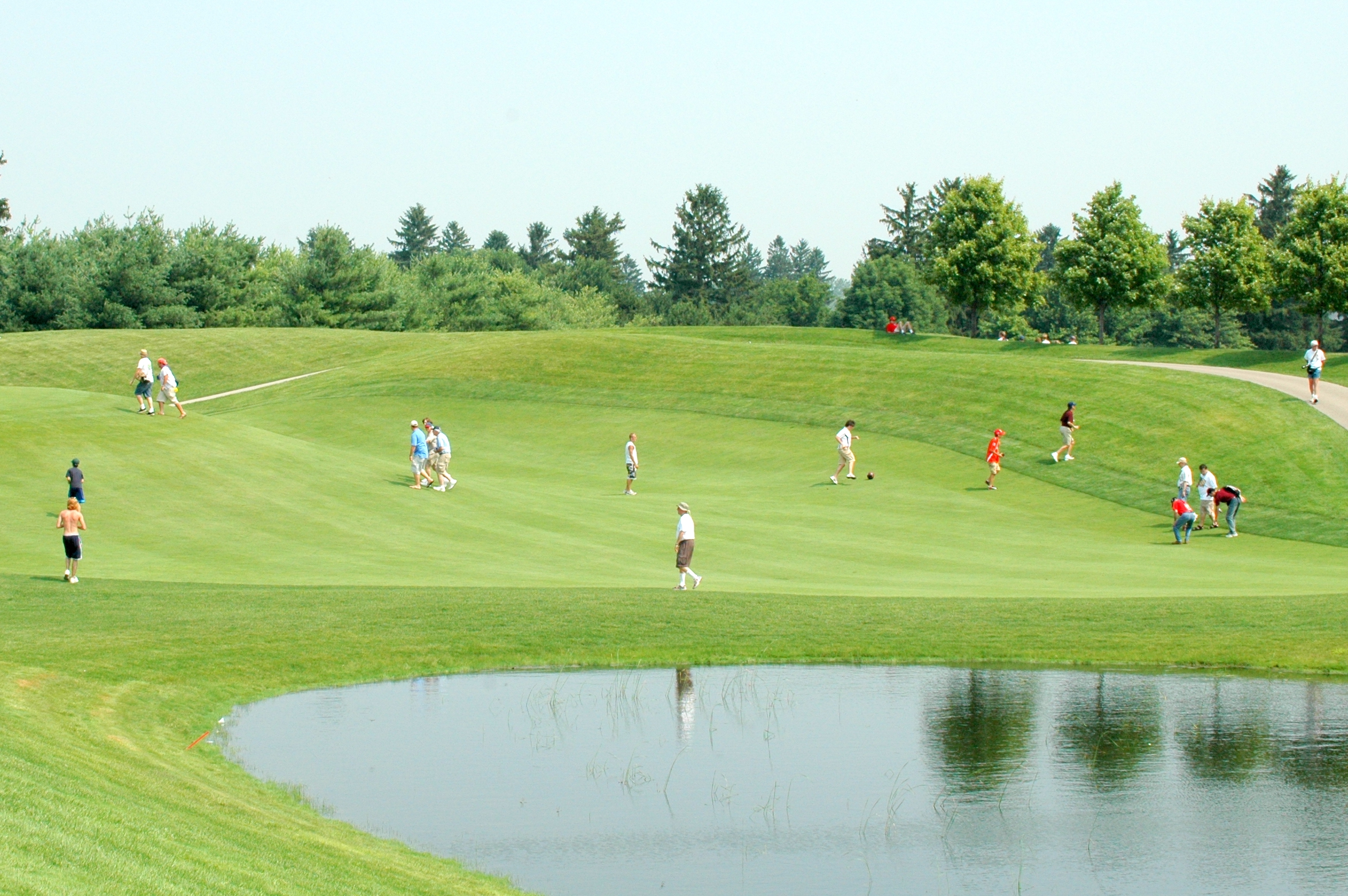 some people are enjoying golf on a sunny day