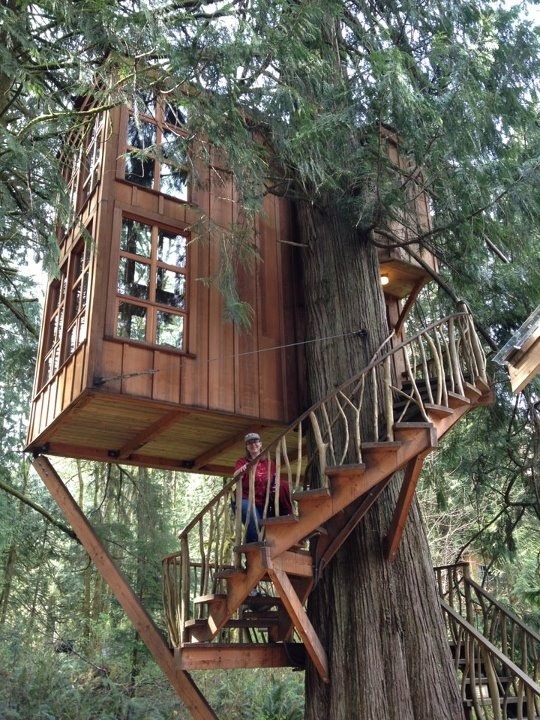 a tree house built on a large tree with stairs