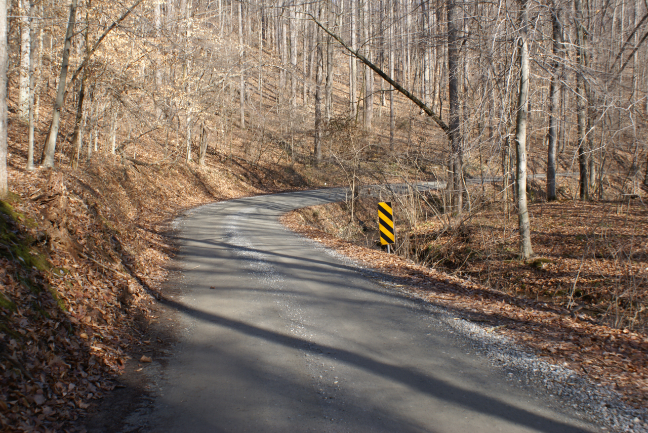 a yellow and black sign on a road next to a forest