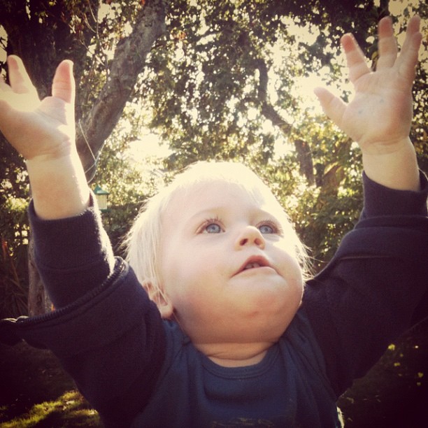 a little boy holding his hands up looking up