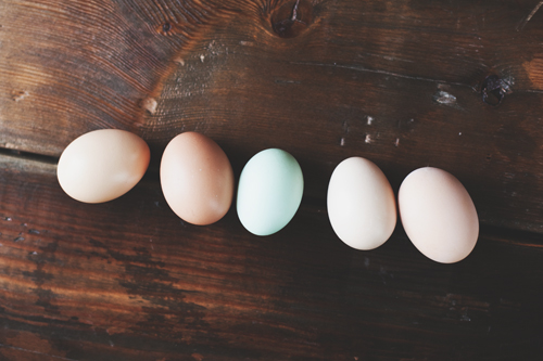 four eggs are lined up in row against a wooden surface