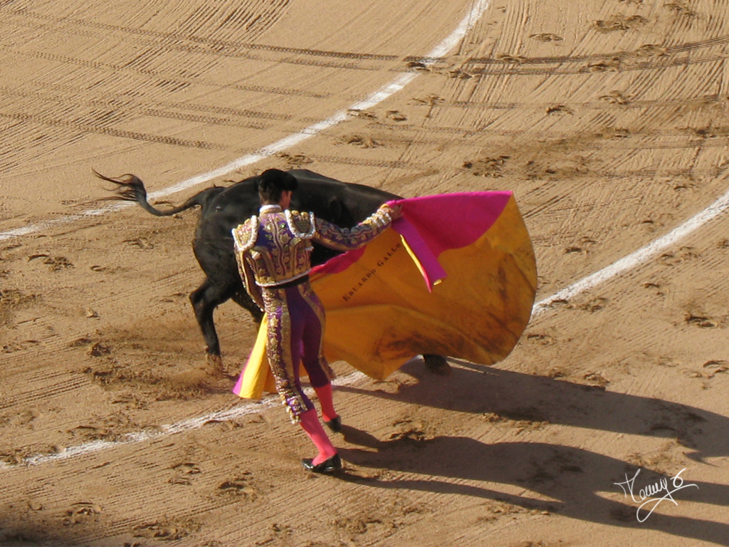 a woman in a bullfight holding on to her horse