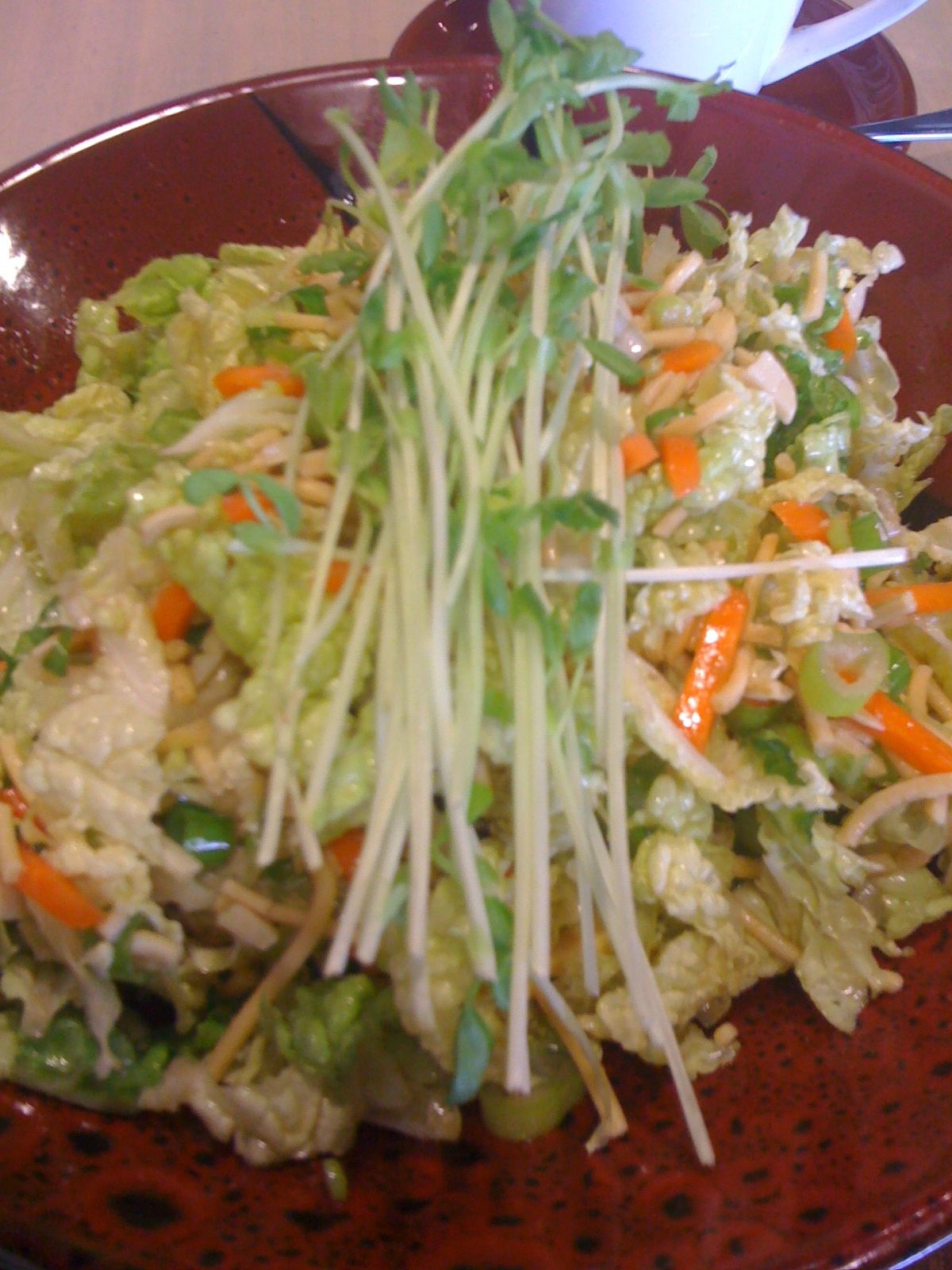 a salad with green onions and carrots on a plate