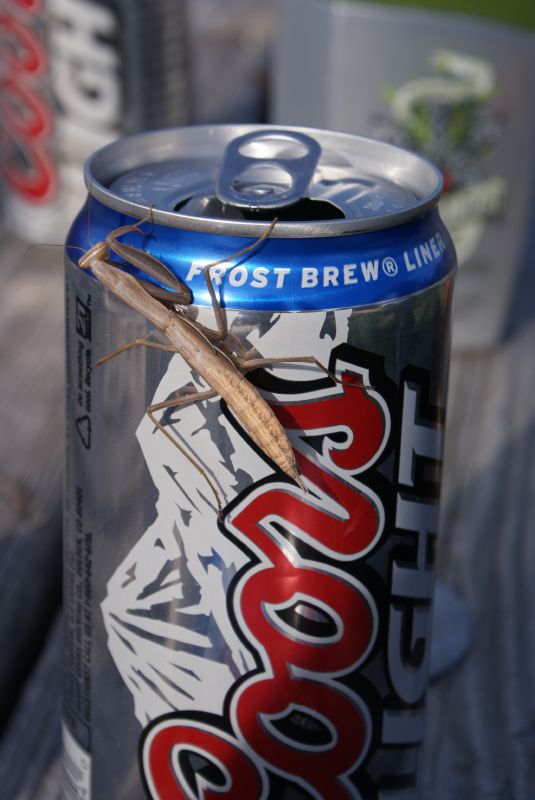 a large locus sitting on top of a can of beer