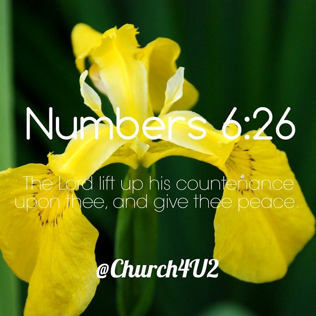 an image with the words numbers 6 26 and there is a po of a yellow iris