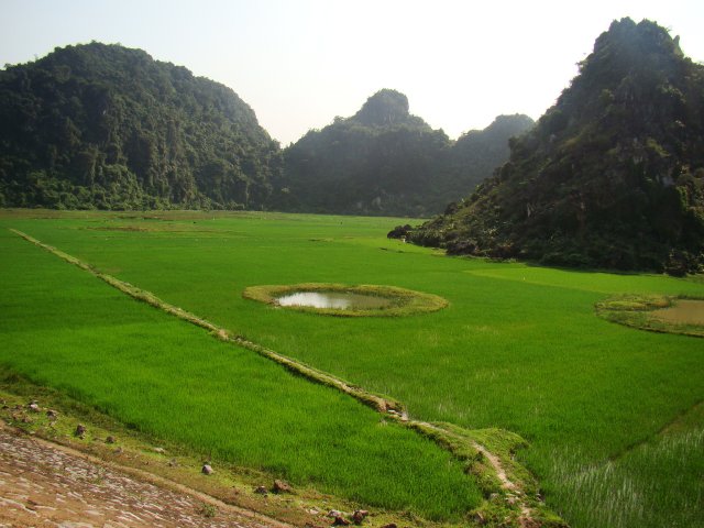 a view of green fields next to some mountains
