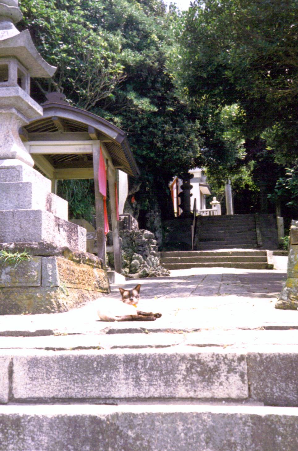 a bunch of steps leading to a pagoda and building