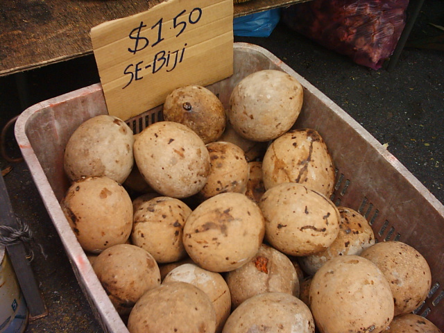 many potatoes are displayed in a tray at the farmer's market