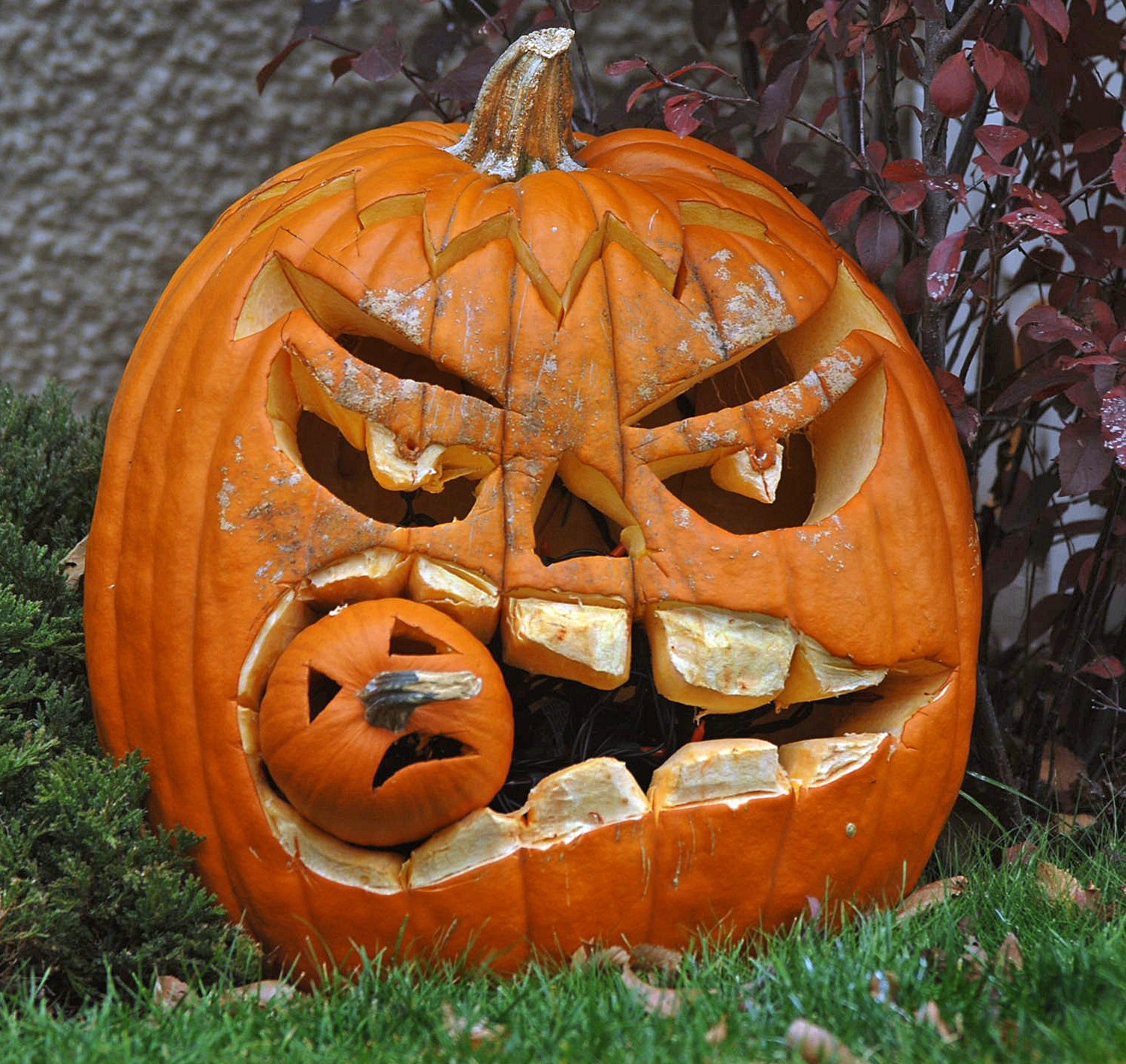 a pumpkin with carvings on it is in the grass