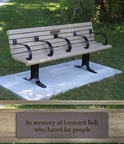 a bench in front of the grass and trees with text
