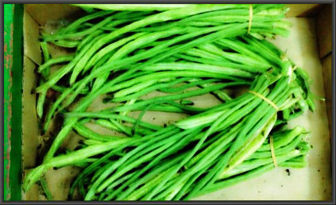 long, green string beans in a box