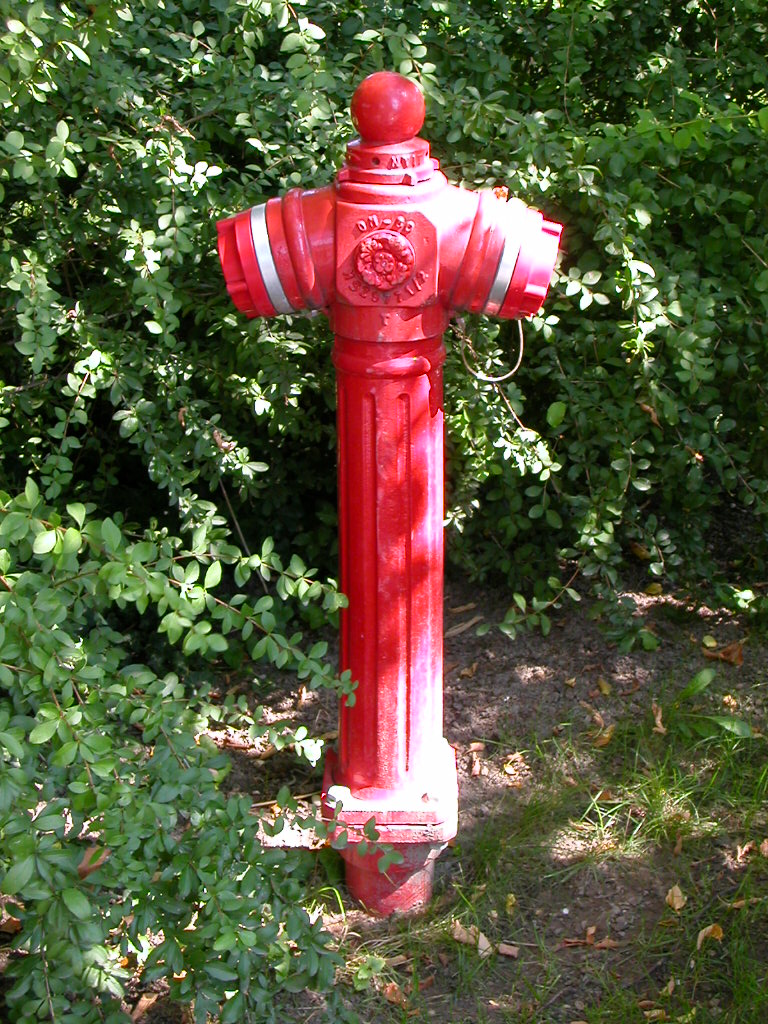 a red fire hydrant sitting in front of bushes