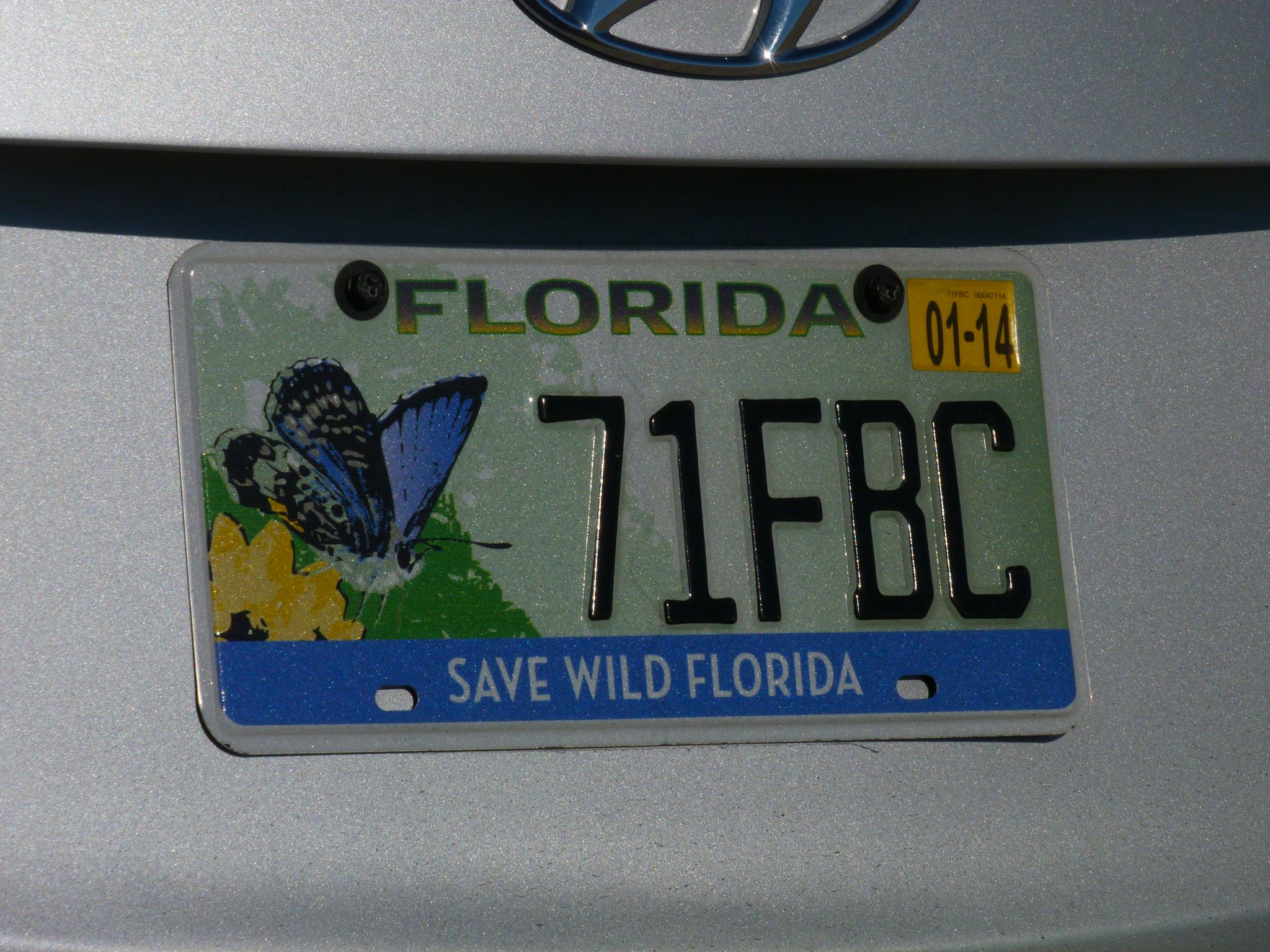 the blue erfly is on a license plate