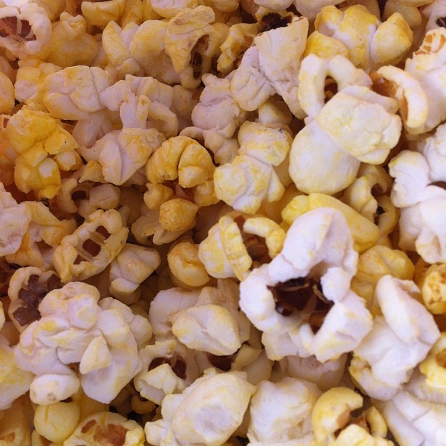 a closeup of corn is pictured in this image