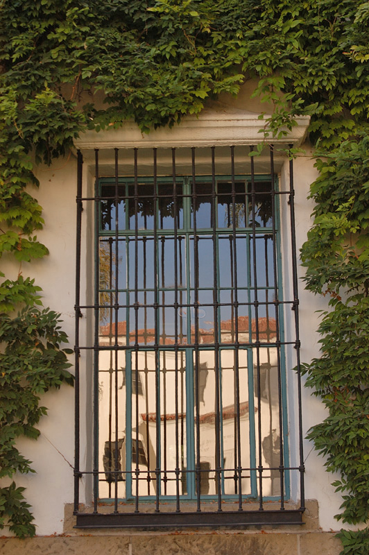 a building with green plants growing around the windows