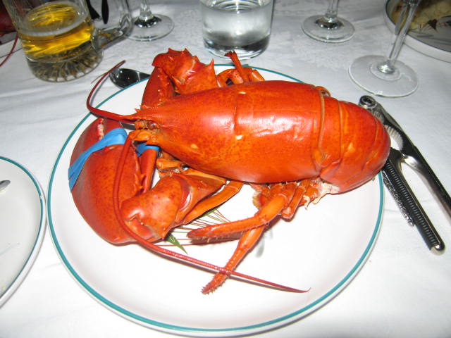 a cooked lobster that is sitting on a plate