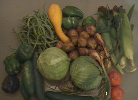 a pile of different fruits and vegetables with a green background