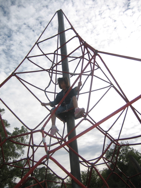 a person climbing a metal structure with trees in the background
