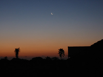 a setting sun with a small moon behind the silhouette of palm trees