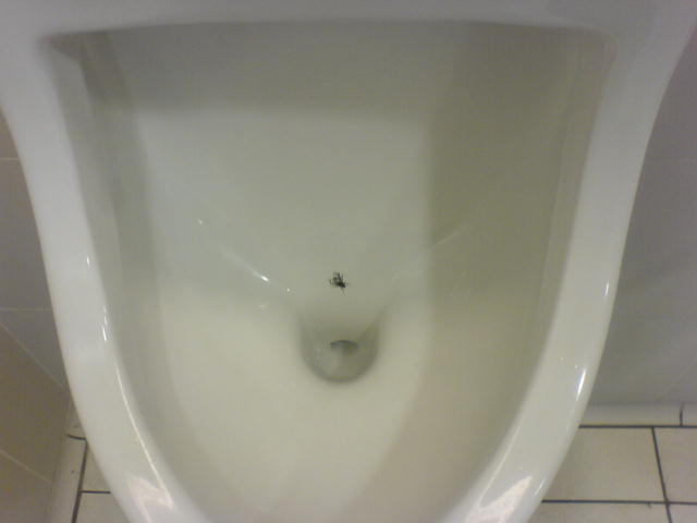 a white urinal on a white tiled floor in a bathroom