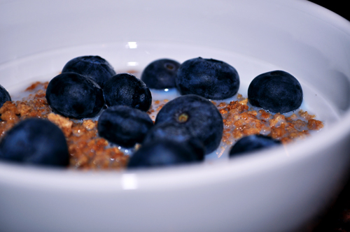 cereal in a white bowl with blueberries on top