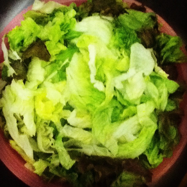 a small bowl filled with chopped up lettuce