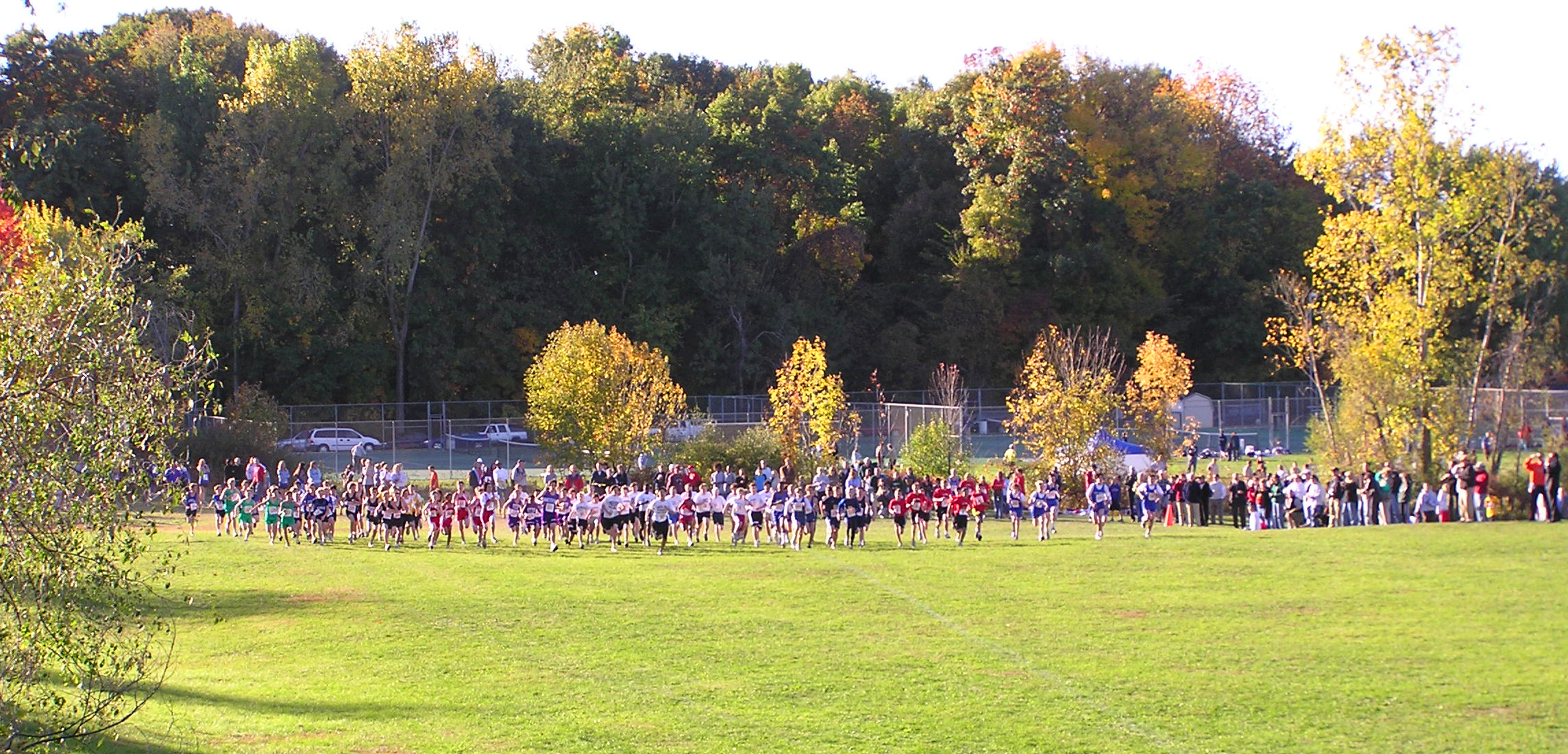 many people stand together in a field with trees and fences