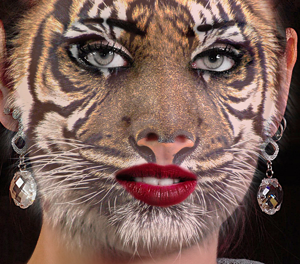 the tiger makeup is very striking and pretty