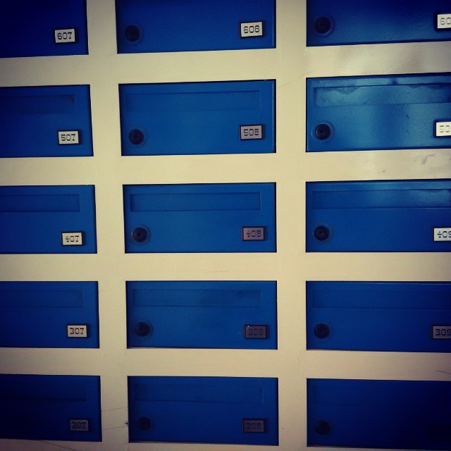 blue folders lined up against a white wall