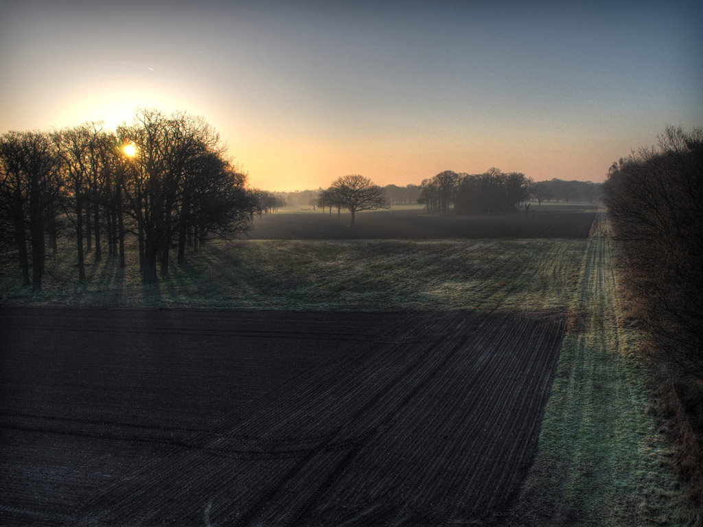 the sun rises over a misty field at dusk