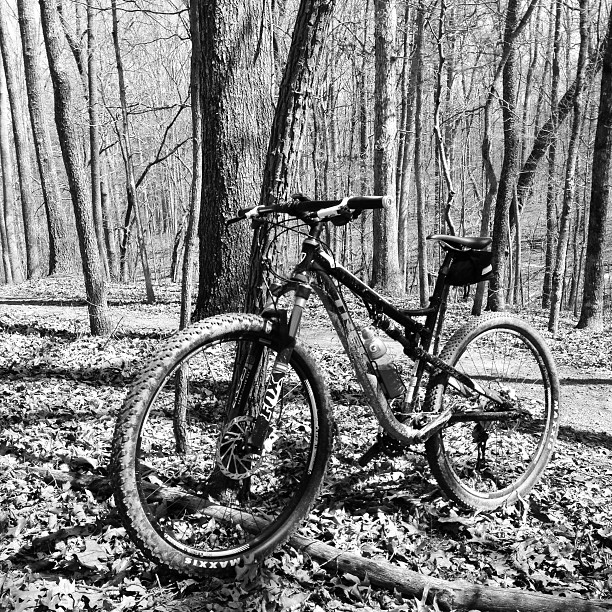 a bicycle that is parked in the leaves