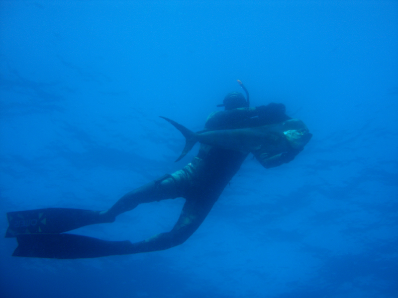 a scuba diver is pographed underwater while spearing
