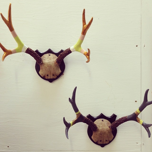 three deer antlers mounted to the side of a wall