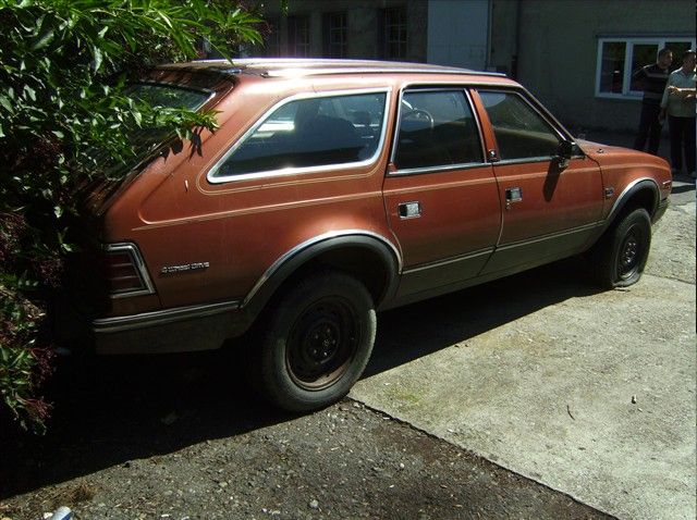 an old car is parked in front of some bushes