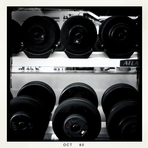 two rows of gym weights are arranged together