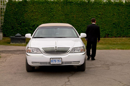 a white limousine in front of a hedge