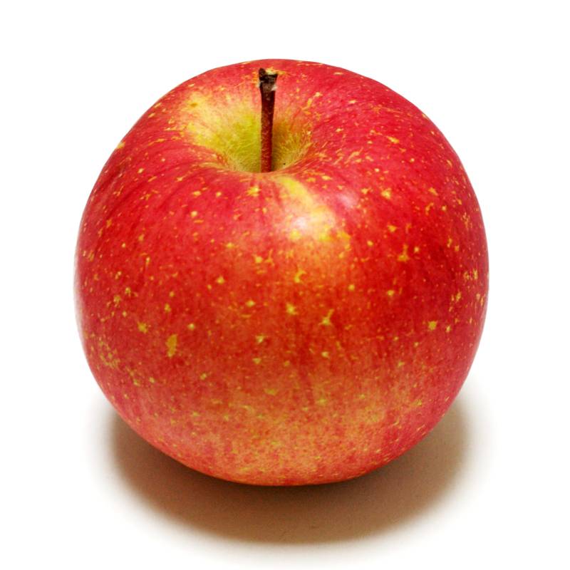 a big red apple sits half turned in the shade