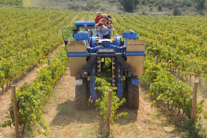 people riding on the back of a blue tractor