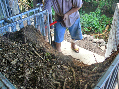 a man holding a red shovel near the dirt