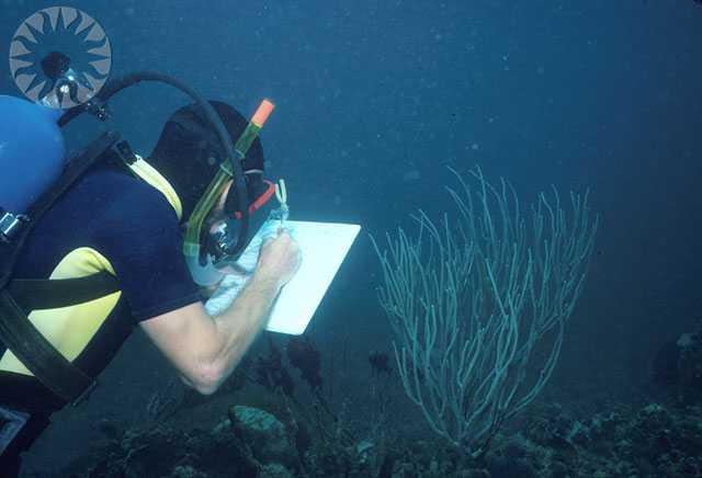 a man is writing on a map while scuba diving