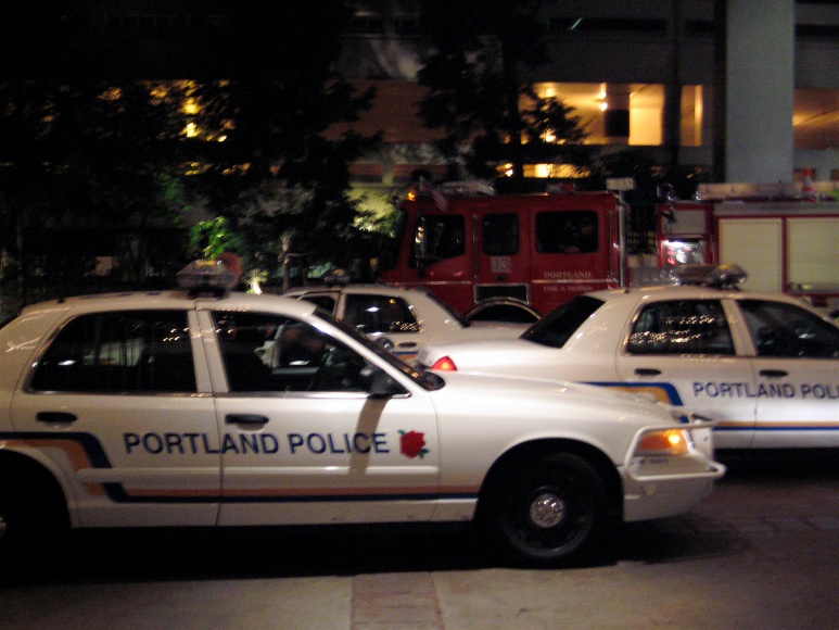 police car in front of a fire truck at night