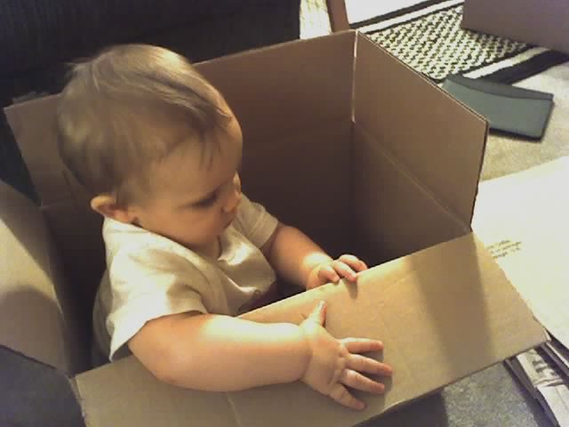 a baby sitting inside of an open cardboard box